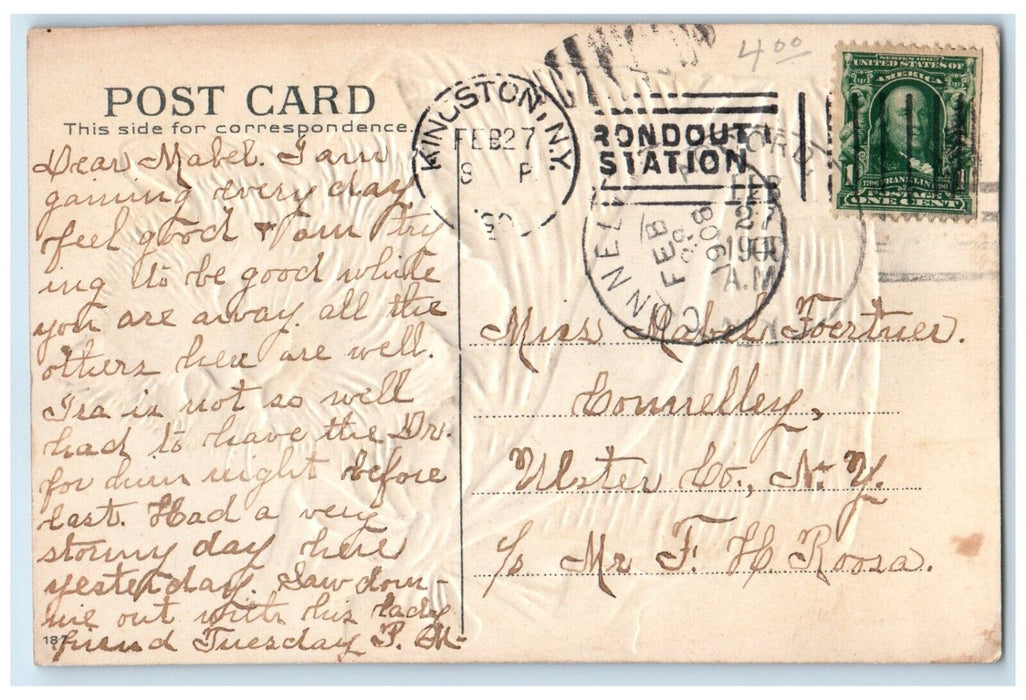 1908 Cute Cat Kitten In The Basket Bow Ribbon Embossed Kingston NY Postcard