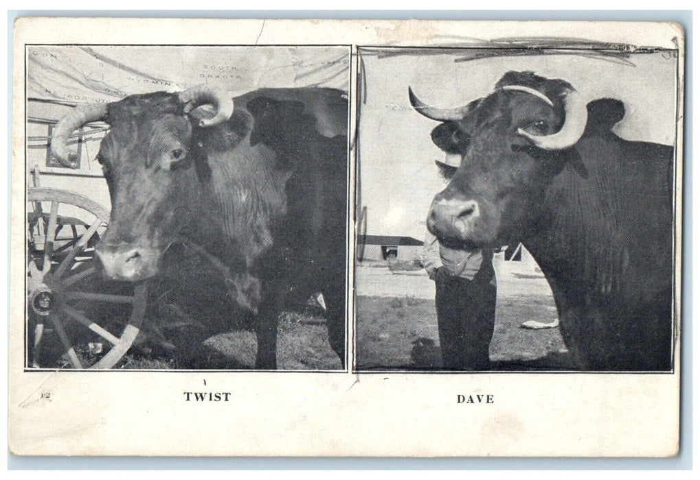 Twist And Dave OX The Ezra Meeker Cleveland Ohio OH Animals Vintage Postcard