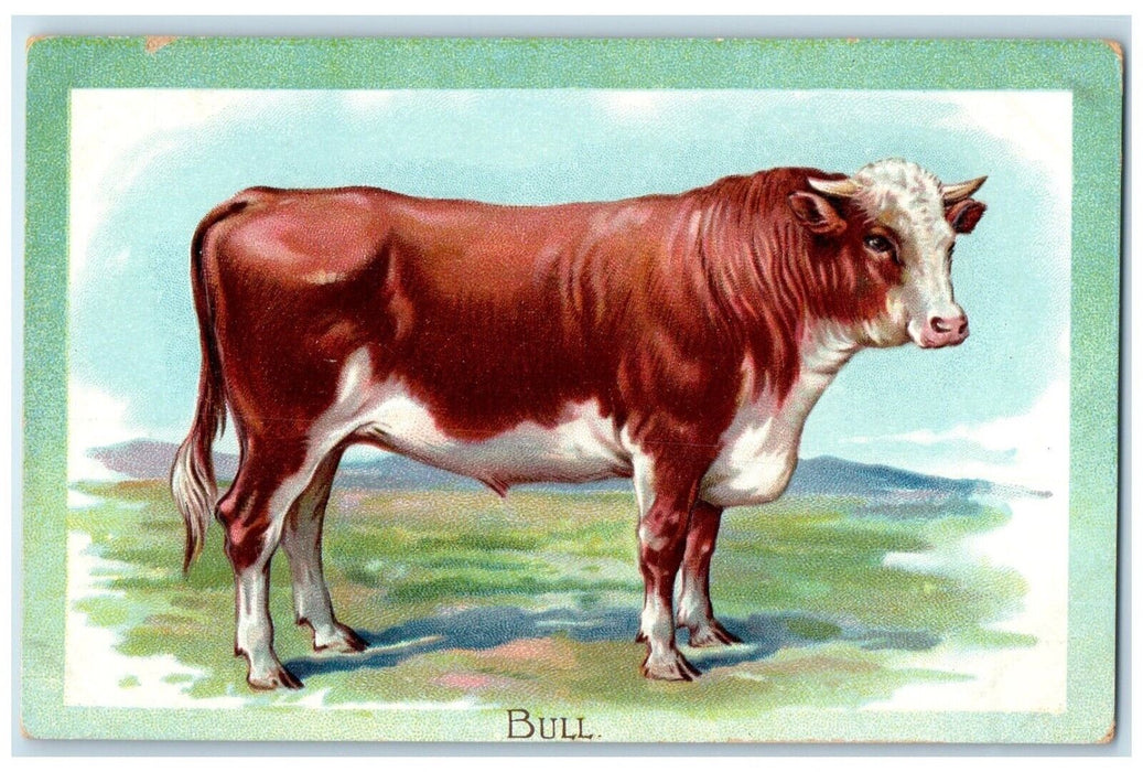 c1910's Bull Bos Taurus Embossed Domestic Animals Tuck's Antique Postcard