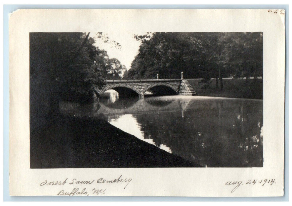 1914 Bride Over River Forest Lawn Cemetery Buffalo New York NY Antique Photo