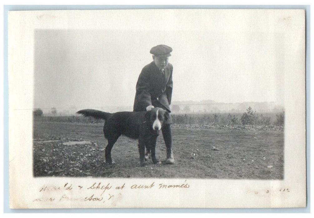 c1910 Shepherd Dog at Aunt Mami's House Princeton New Jersey NJ Antique Photo