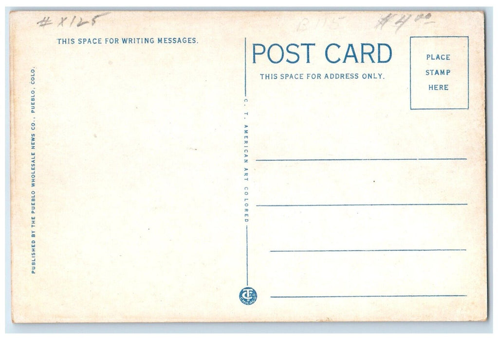 c1920 Birds Eye View River Bridge Mountain Glenwood Springs Colorado CO Postcard