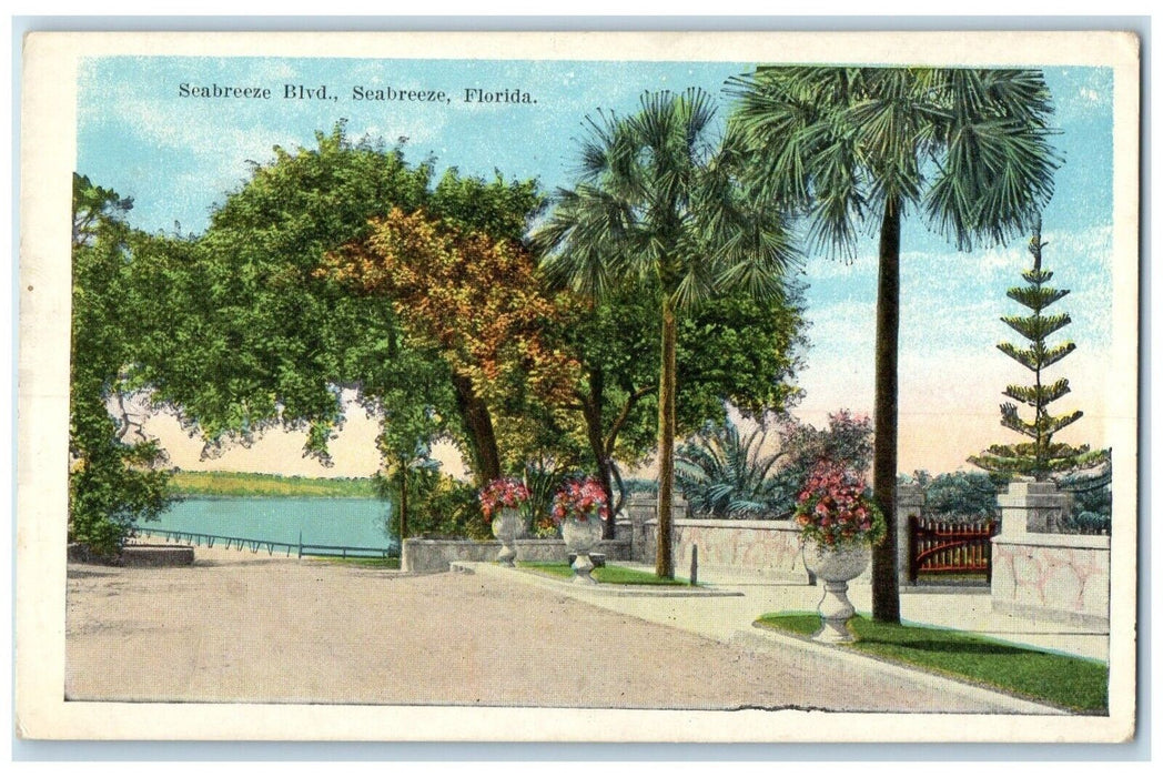 c1920 Seabreeze Boulevard Pine Trees Lake River Gate Seabreeze Florida Postcard