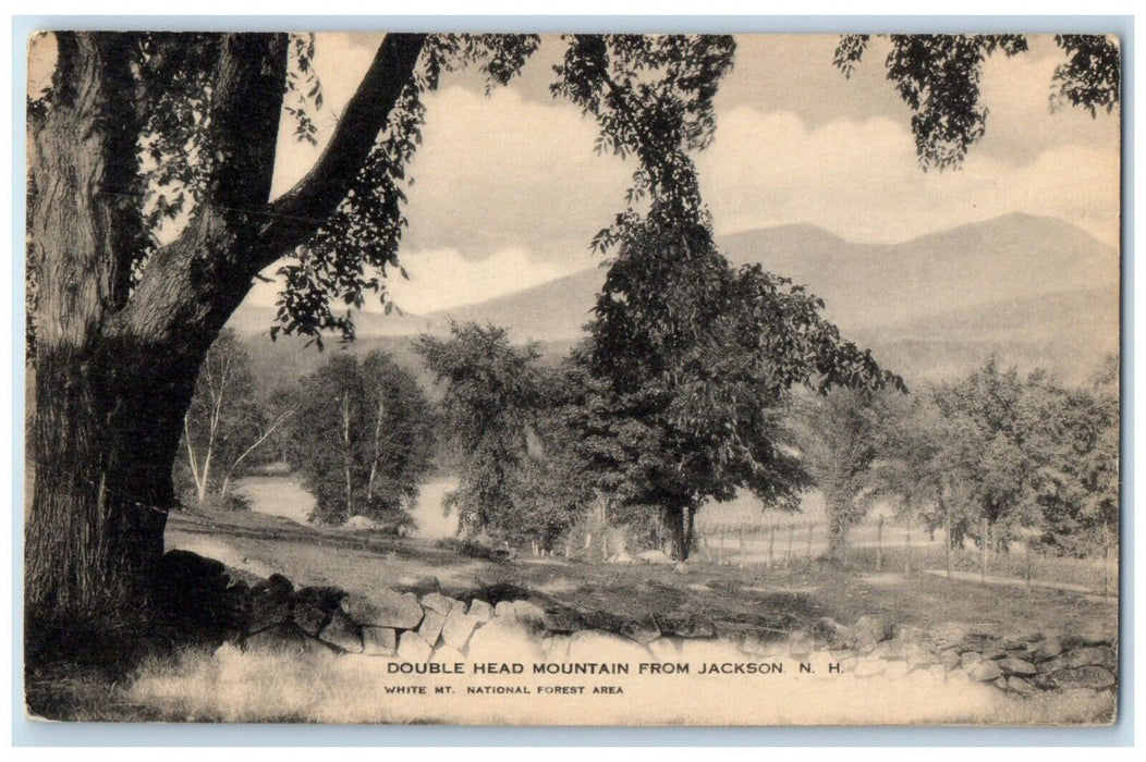 1937 Double Head Mountain White Mountain Forest Jackson New Hampshire Postcard