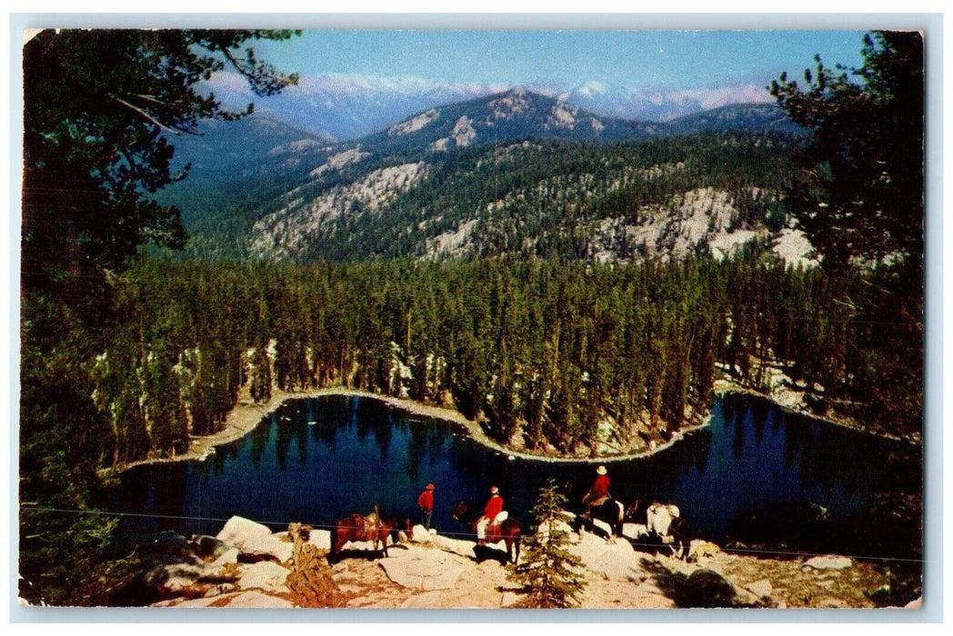 c1960 Jenny Ellis Lake Sequoia National Park Kings Canyon National Park Postcard
