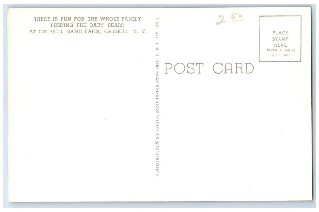 1960 Family Feeding Baby Bears Catskill Game Farm Catskills New York NY Postcard