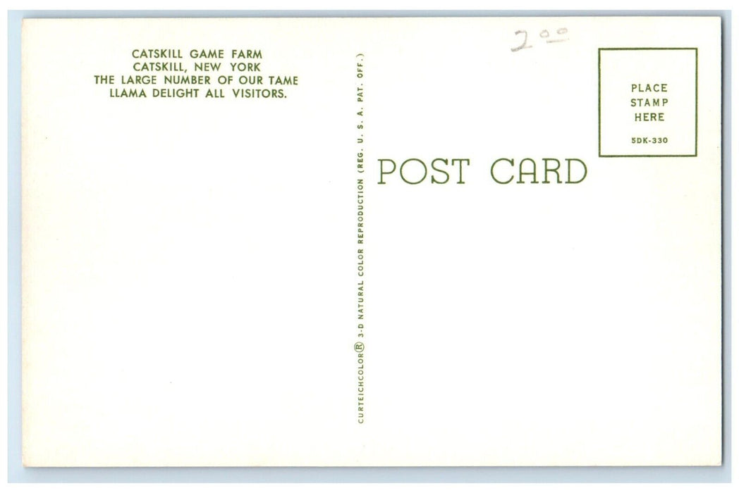 c1960 Tame Llama Animals Forest Catskill Game Farm Catskill New York NY Postcard