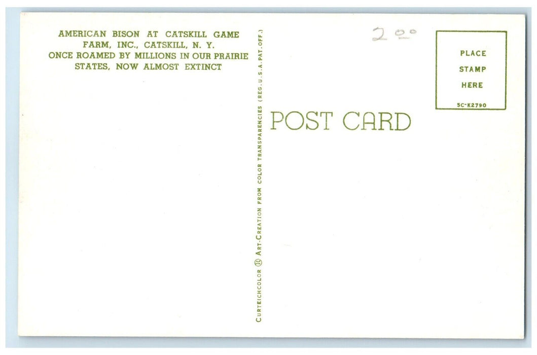 1960 American Bison Catskill Game Farm Inc Catskill New York NY Antique Postcard