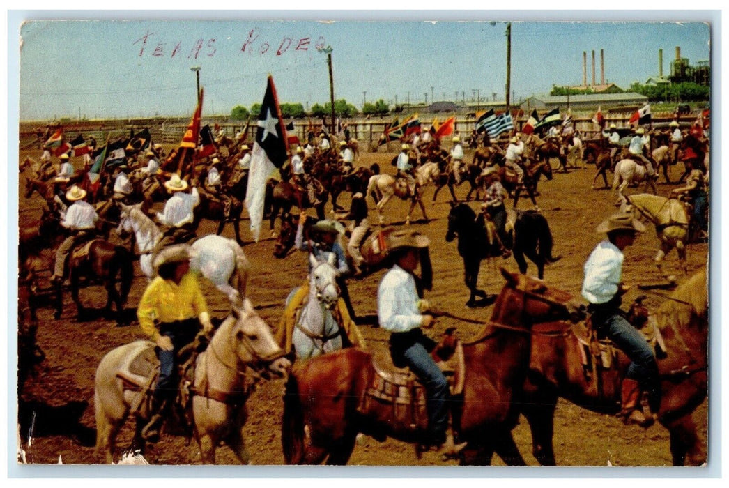 c1960 Grand Entry Texas Rodeo Cowboys Cowgirls Horse Animals Texas TX Postcard