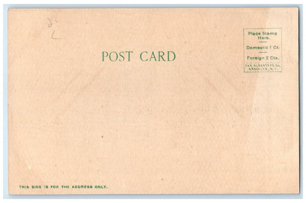 c1905 Exterior View Lee County Court House Dixon Illinois IL Unposted Postcard