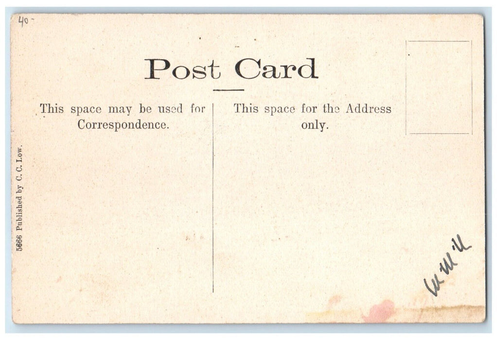 c1910's CC Low's Store Woodbourne New York NY Unposted Antique Postcard