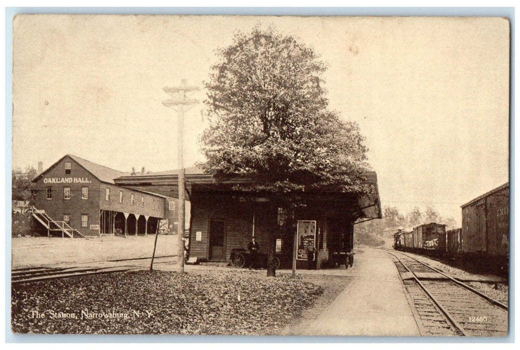 1913 The Station Train Depot Oakland Hall Narrowsburg New York NY Postcard
