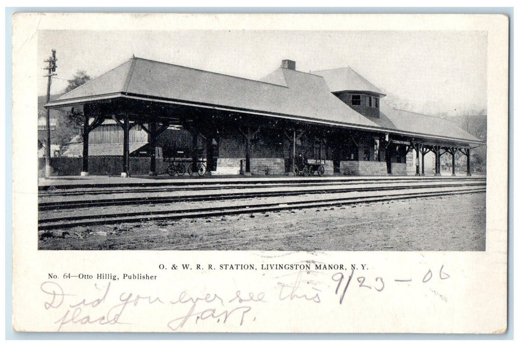 1906 O & WRR Station Depot Wagon Livingston Manor New York NY Antique Postcard