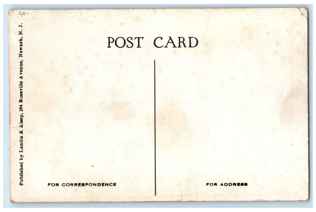 c1910's The Barnard Lexington Greene Co. NY Catskill Mts. Antique Postcard