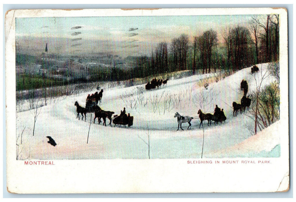 1907 Sleighing in Mount Royal Park Montreal Quebec Canada Antique Postcard