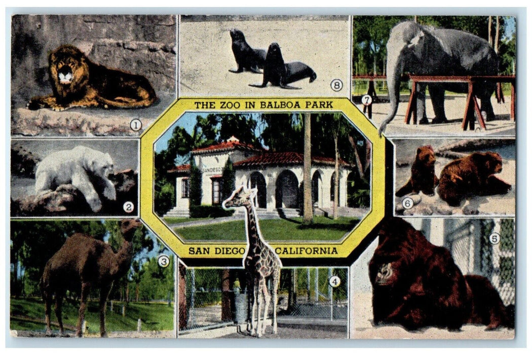 c1940 Zoo Balboa Park Multiview Zoological Garden San Diego California Postcard