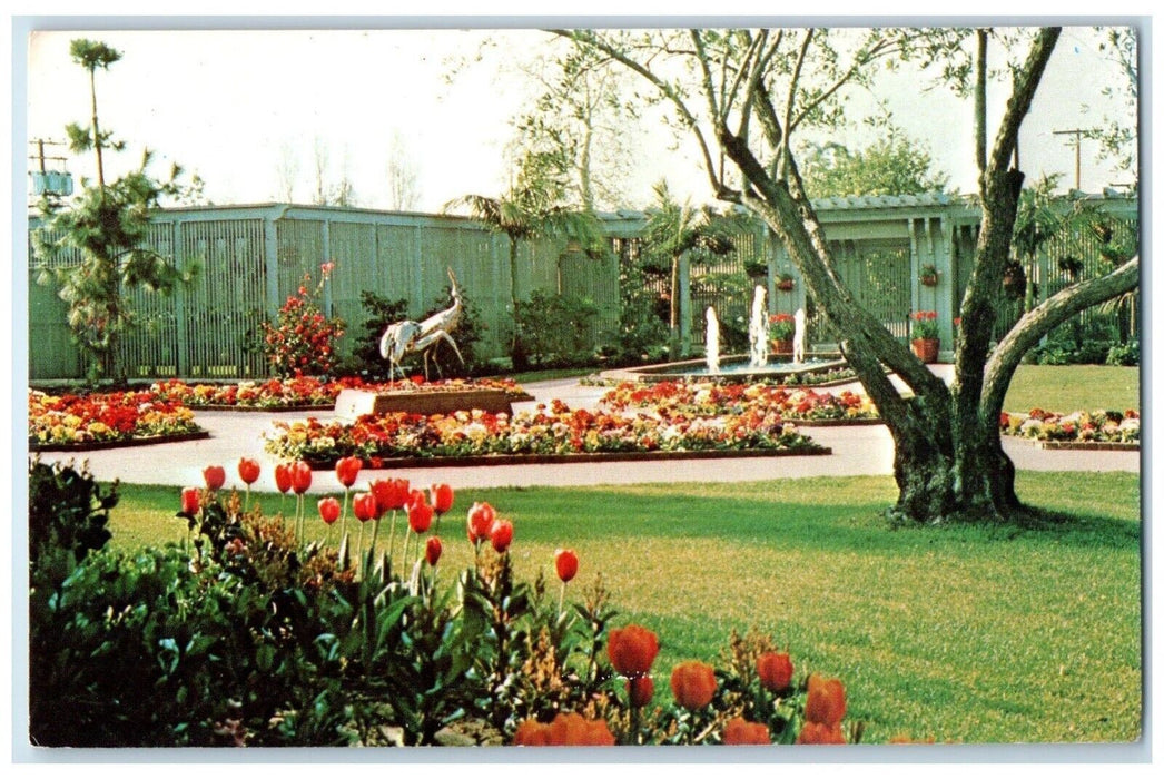 1960 Sherman Foundation Garden Tulips Central Corona Del Mar California Postcard