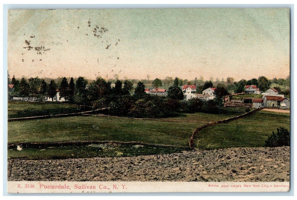 1907 View Of Fosterdale Sullivan County New York NY Posted Antique Postcard