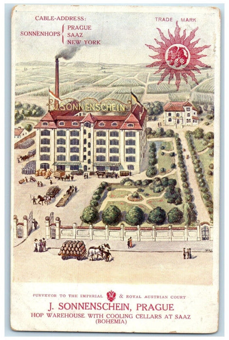 c1910's Sonnenchein Beer Brewery Hops Prague Czech Republic Antique Postcard