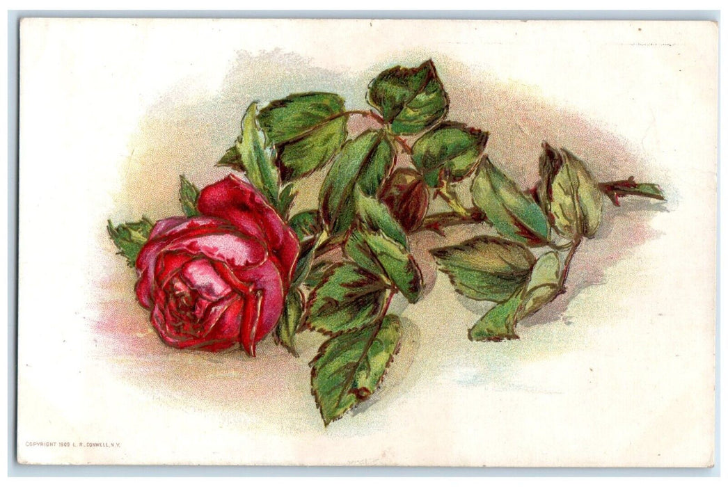 1911 Roses Flowers Conwell Bentonsport Iowa To Donnellson Duane Cancel Postcard
