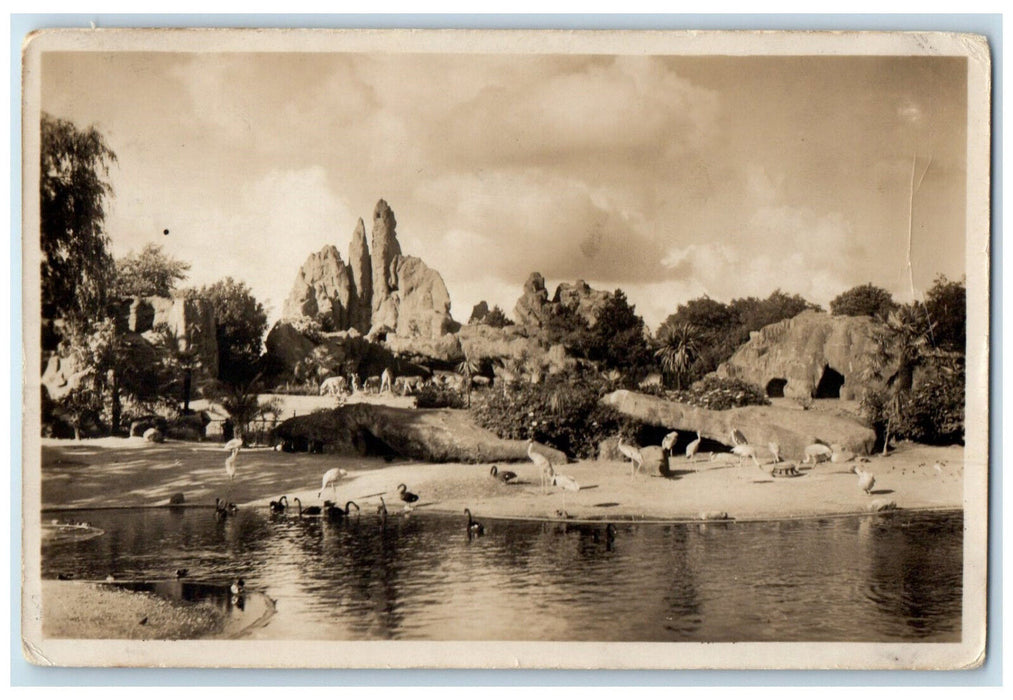 c1920's Gesamt Panorama Tierpark Stellingen Hamburg Germany RPPC Photo Postcard