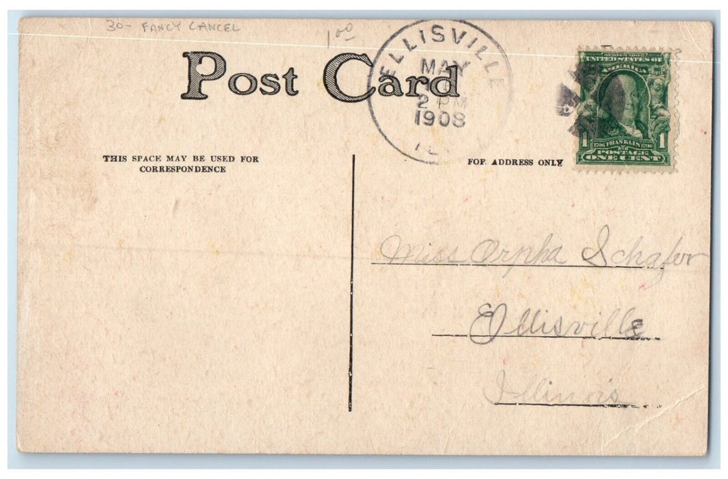 1908 Crab Apple Blossom Ellisville Illinois IL Fancy Cancel 1 Cent Postcard