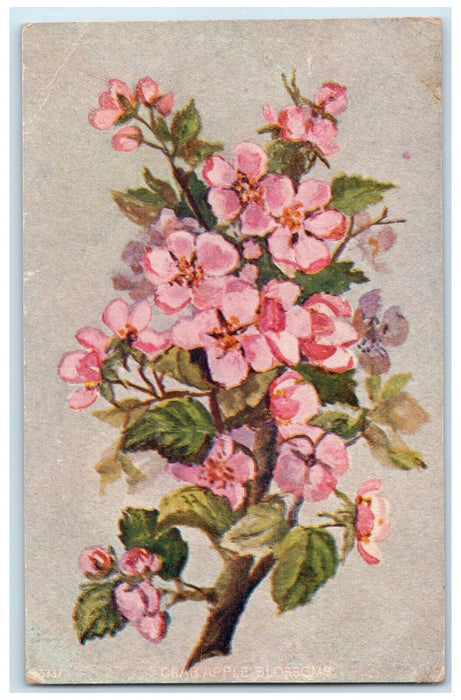 1908 Crab Apple Blossom Ellisville Illinois IL Fancy Cancel 1 Cent Postcard