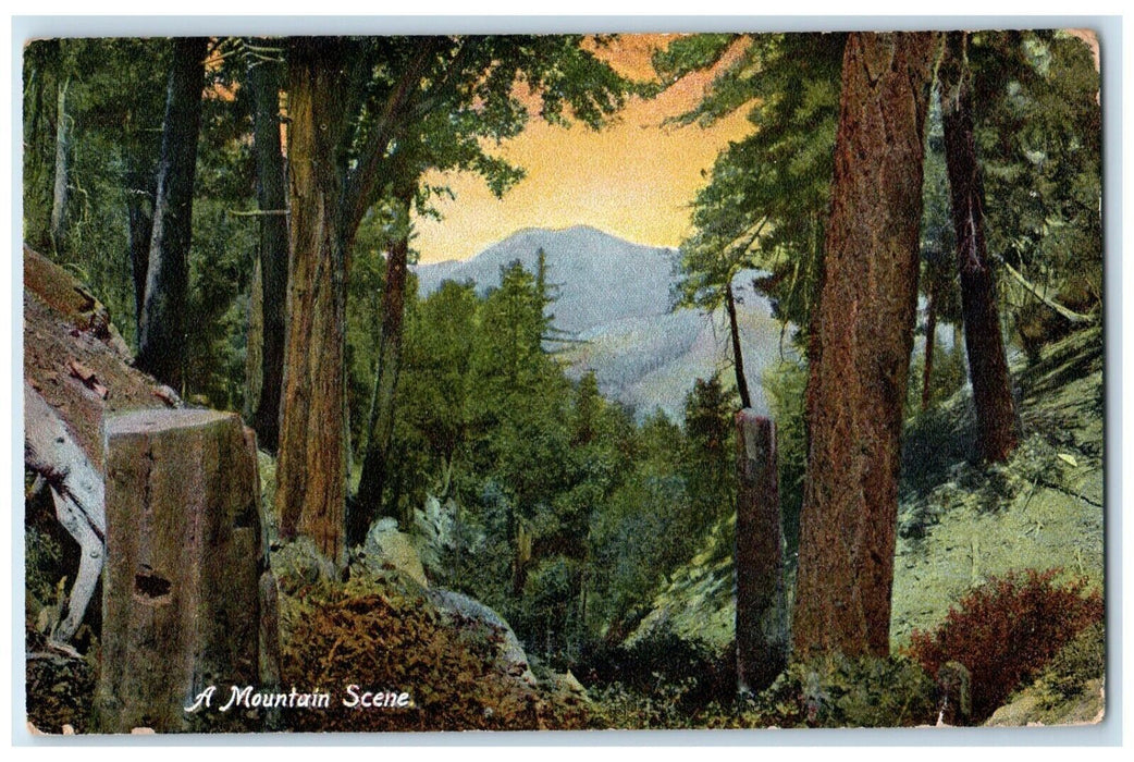 1908 Mountain Scene Cayton California CA Townley Michigan DPO 1902-1916 Postcard