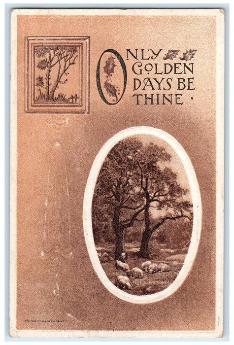 1910 Golden Days Carter Nebraska NE DPO Ghost Town 1906-1915 Harlan Co. Postcard