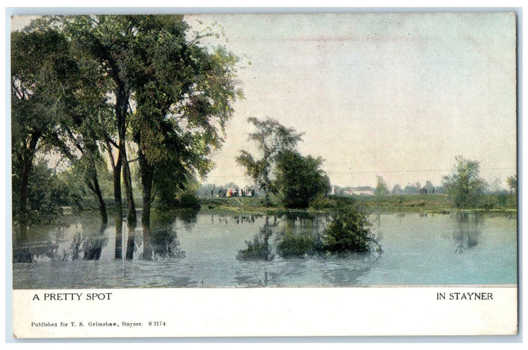 1908 A Pretty Spot in Stayner Ontario Canada Posted Antique Postcard