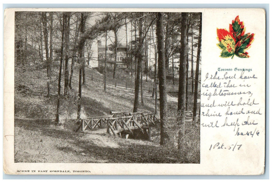 1905 Toronto Greetings Scene in East Rosedale Toronto Canada Postcard