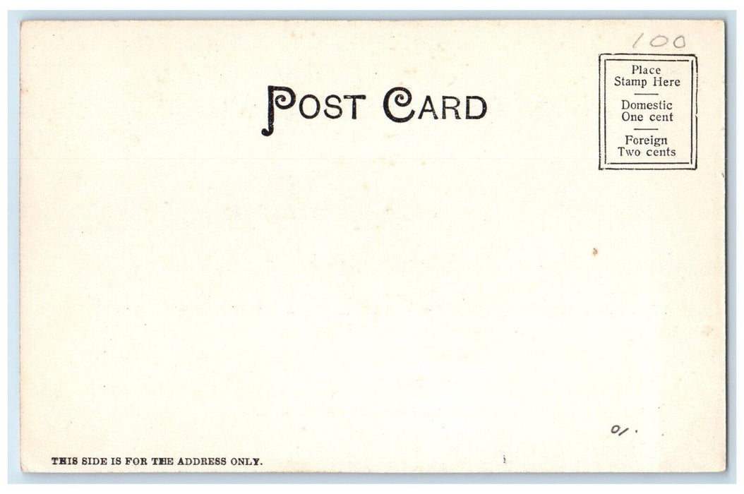 c1905 Millard Fillmore Residence Building Buffalo New York NY Antique Postcard