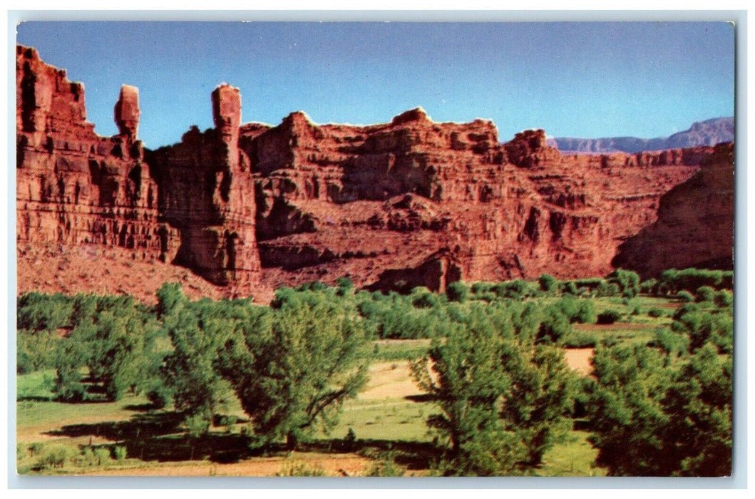 c1960 Grand Canyon Lay Green Fields Supai Indians Supailand Arizona AZ Postcard