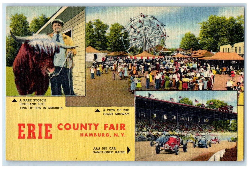 The Erie County Fair Multiview Hamburg New York NY Multiview Postcard