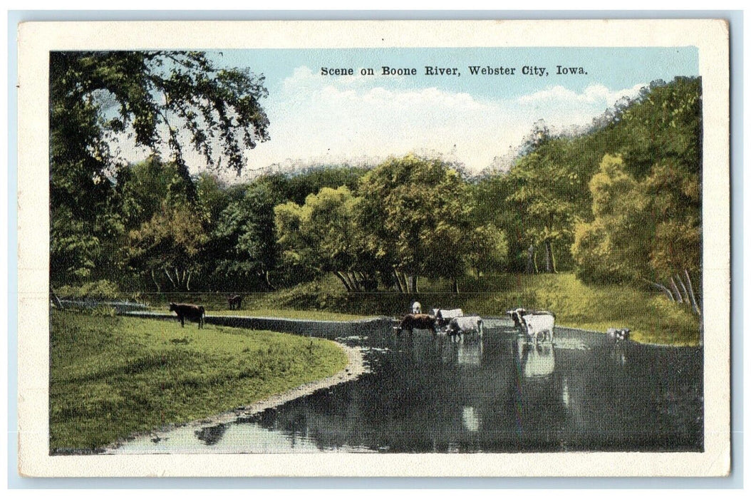 c1910 Scene Boone River Cow Animal Webster City Iowa IA Vintage Antique Postcard