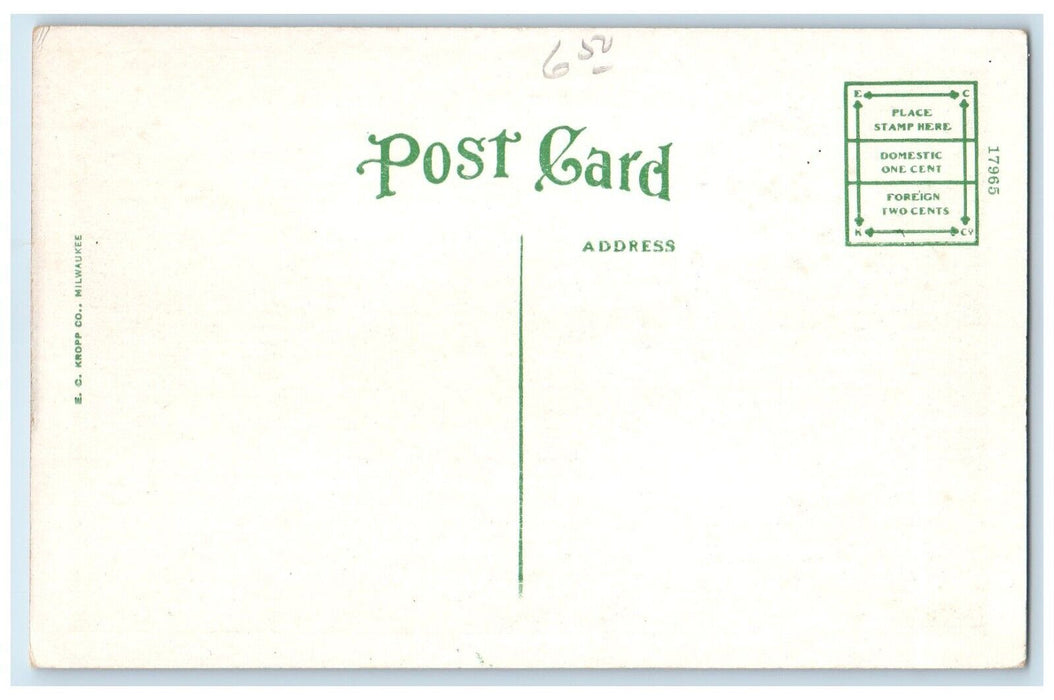 c1910 Scene Boone River Cow Animal Webster City Iowa IA Vintage Antique Postcard