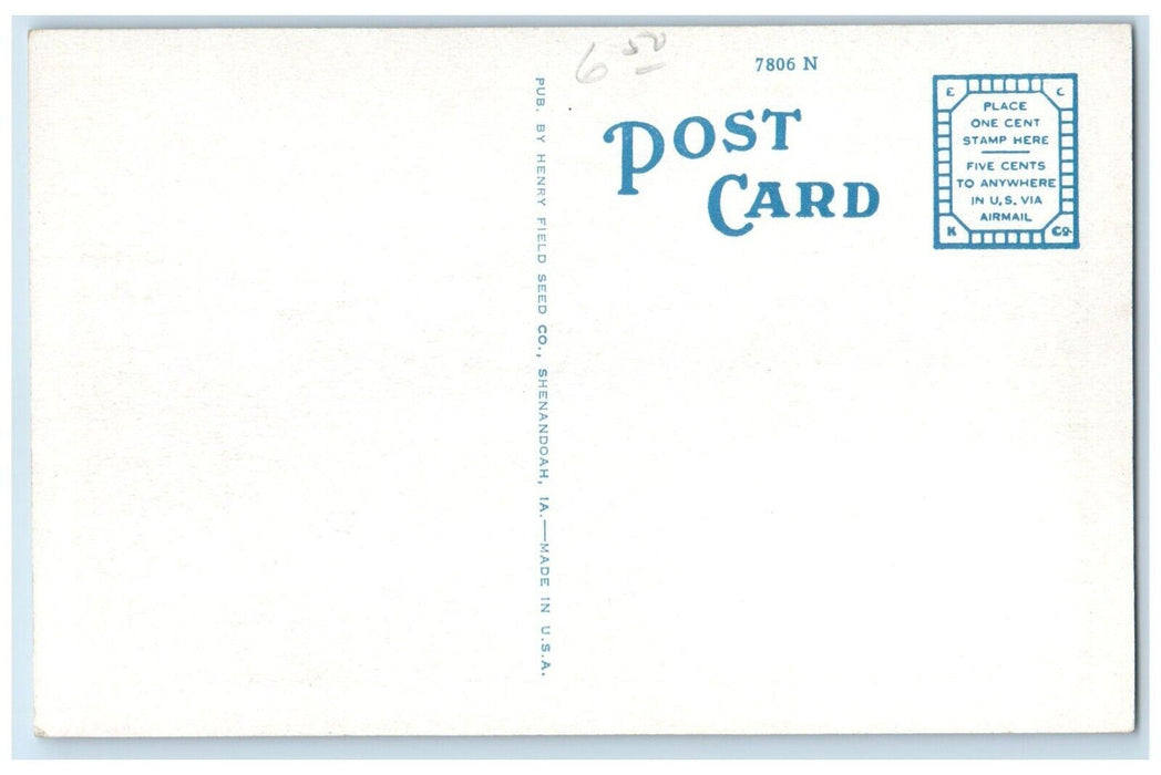 c1920 Sleepy Hollow Gardens Henry Field Seed Shenandoah Iowa IA Vintage Postcard