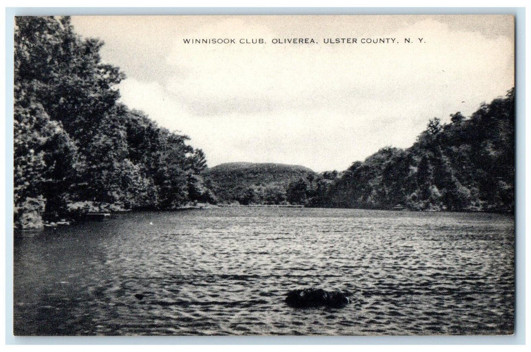c1940s Winnisook Club Oliverea Ulster County New York NY Unposted Trees Postcard