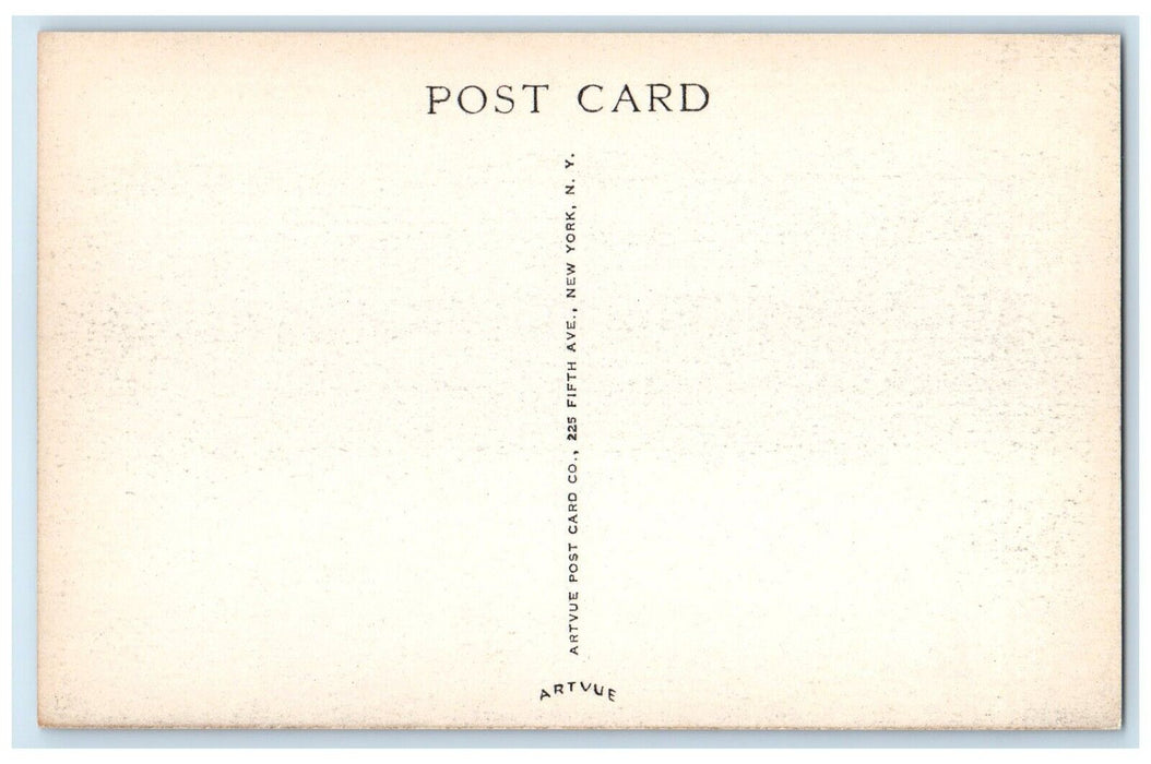 c1940s Winnisook Club Oliverea Ulster County New York NY Unposted Trees Postcard