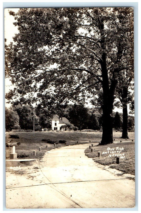 c1940's Gov. Fish Hatchery Neosho Missouri MO RPPC Photo Antique Postcard