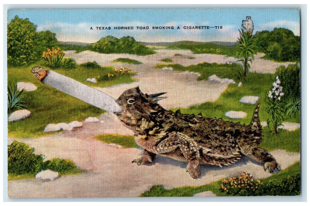 c1930's A Texas Horned Toad Smoking Cigarette Unposted Vintage Postcard