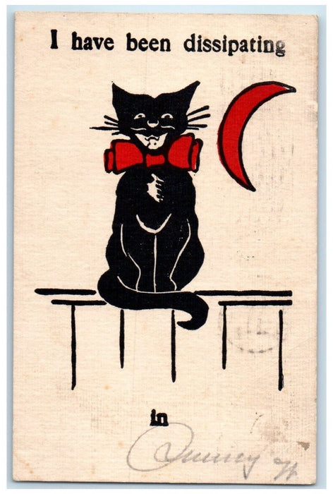 1907 Black Cat Bow Ribbon Crescent Quincy Illinois IL Posted Antique Postcard