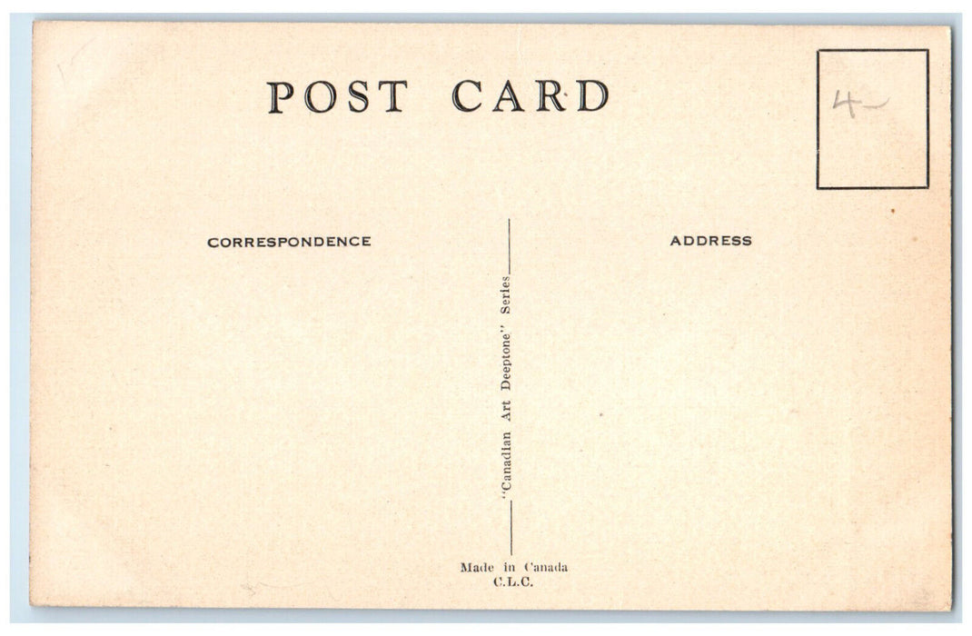 c1930's The Intervale Lands of the Saint John River NB Canada Postcard