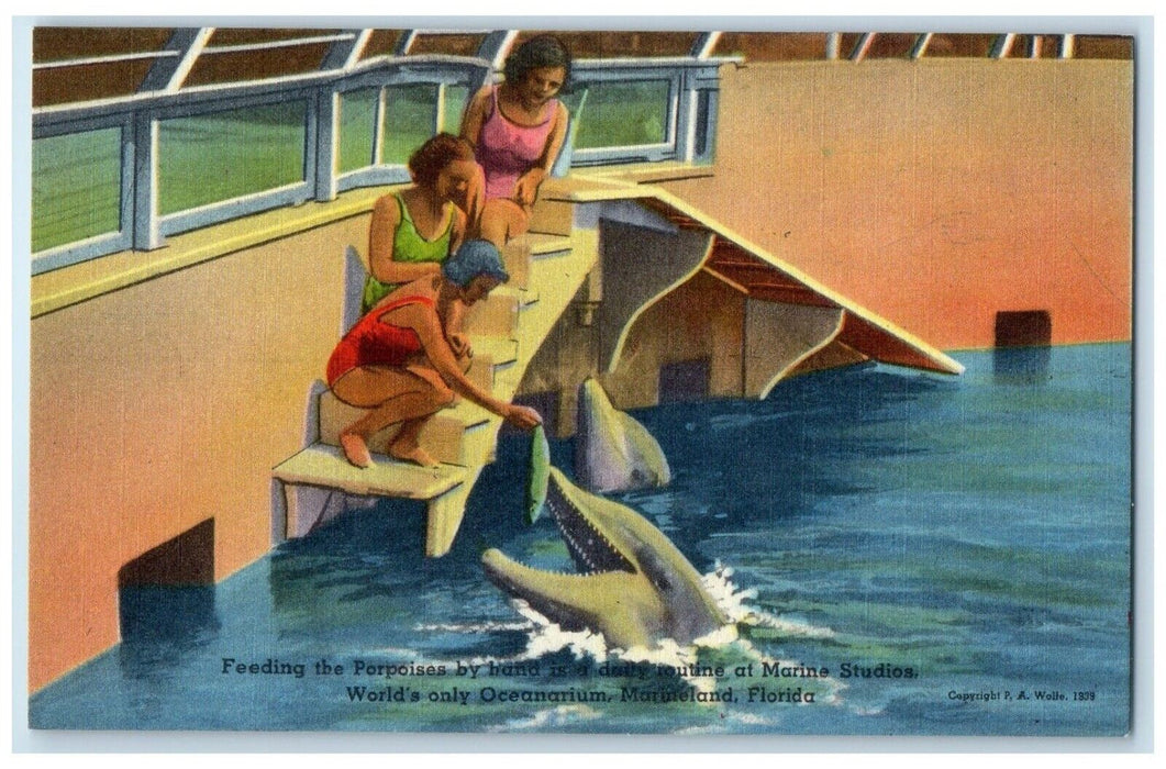 c1940's Feeding The Porpoise By Hand Oceanarium Marineland Florida FL Postcard