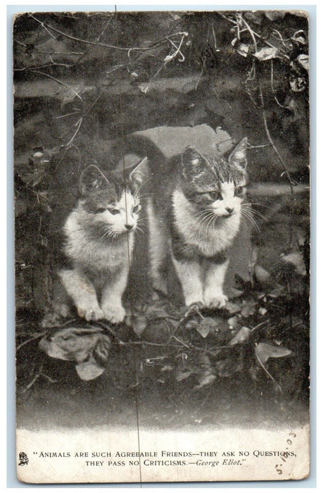 Cat Kittens Animal Are Such Agreeable Friends George Eliot Tuck's Postcard