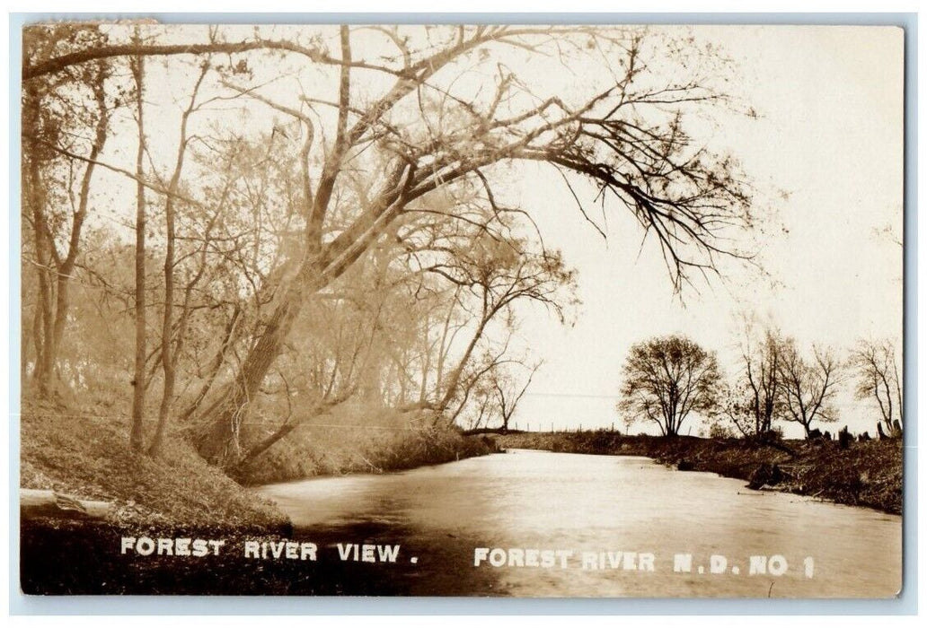 c1910's River View Forest River North Dakota ND RPPC Photo Posted Postcard
