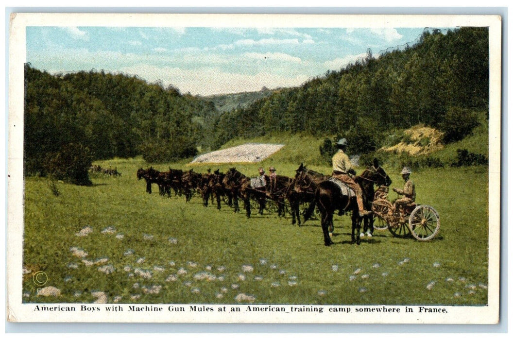 American Boys Machine Gun Mules Training Camp Somewhere In France Postcard