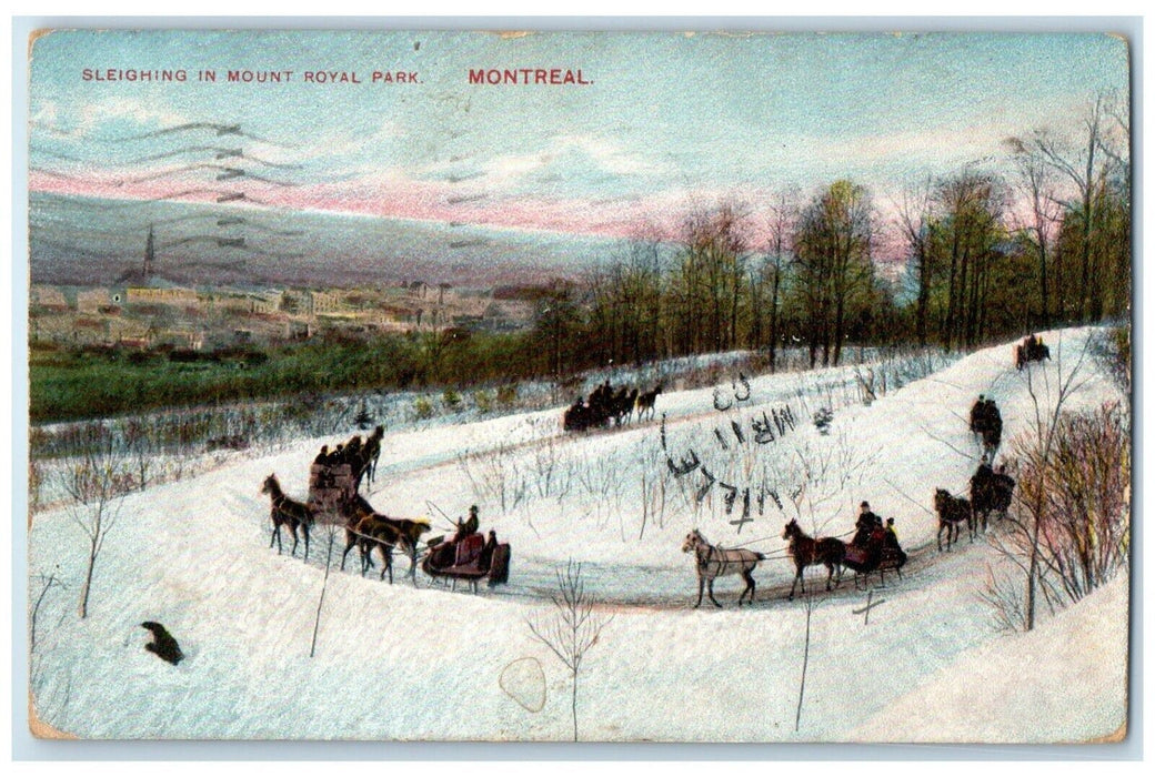 1909 Sleighing in Mount Royal Park Montreal Quebec Canada Antique Postcard