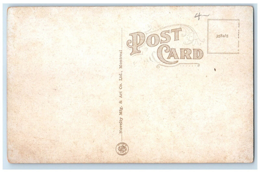 c1910 View of Cape Blomidon Nova Scotia Canada Antique Unposted Postcard