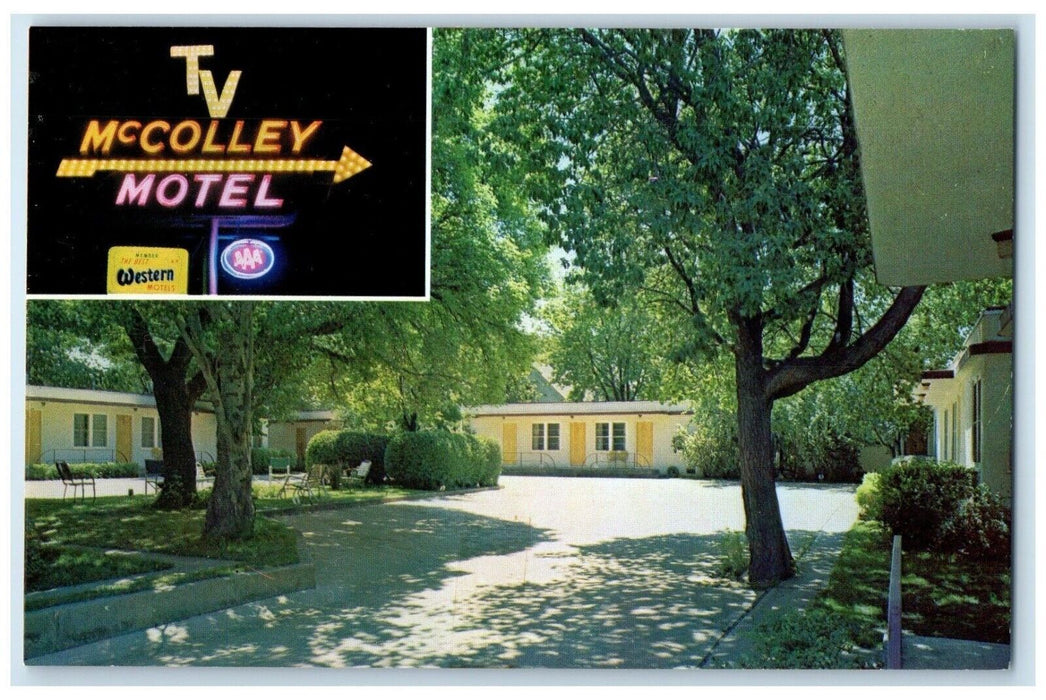 c1950's McColley Motel Spearfish South Dakota SD Unposted Vintage Postcard